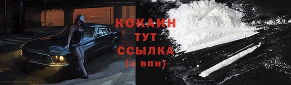 дурь Киреевск