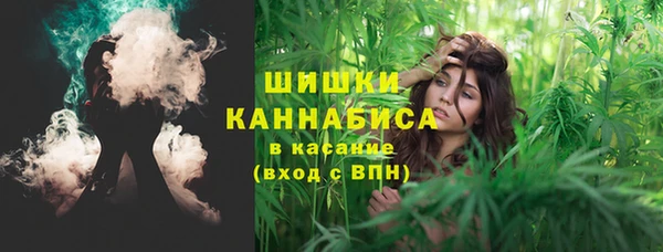 дурь Киреевск