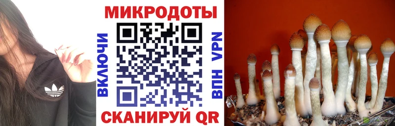 Псилоцибиновые грибы ЛСД  Купить  Куровское 